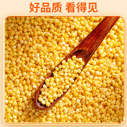 果然生机 道地有机大黄米400g/袋 商品图1