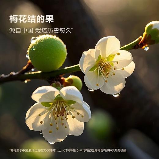 【悦惠精选】溜溜梅皇梅800g 商品图4