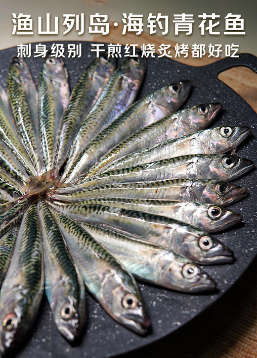 新鲜海钓小青花鱼 商品图7