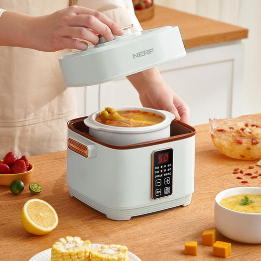 美国nerf拉尔弗电炖盅小型隔水炖汤煲汤电炖锅BE-D820 商品图1
