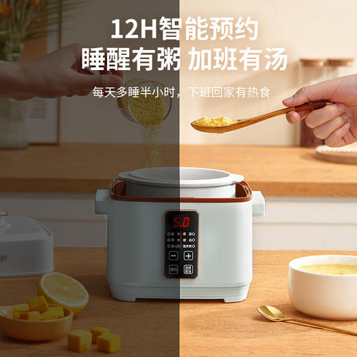 美国nerf拉尔弗电炖盅小型隔水炖汤煲汤电炖锅BE-D820 商品图3