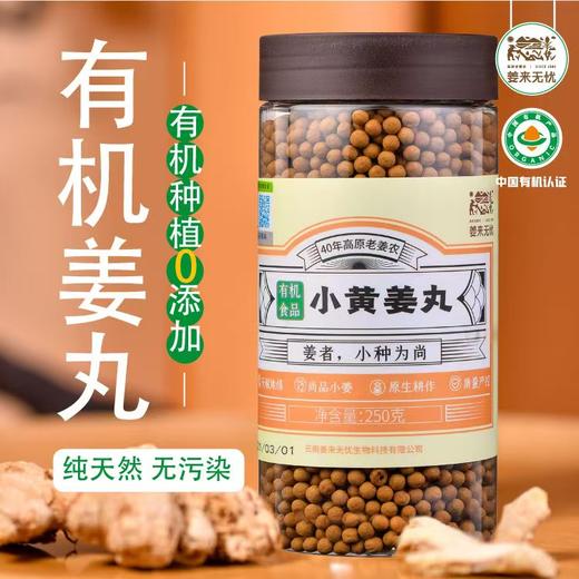 姜来无忧-有机小黄姜丸1瓶250克  厂家直发 商品图0