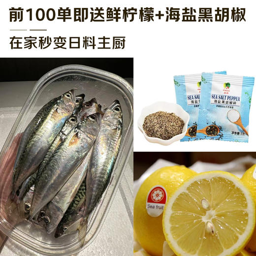 新鲜海钓小青花鱼 商品图6