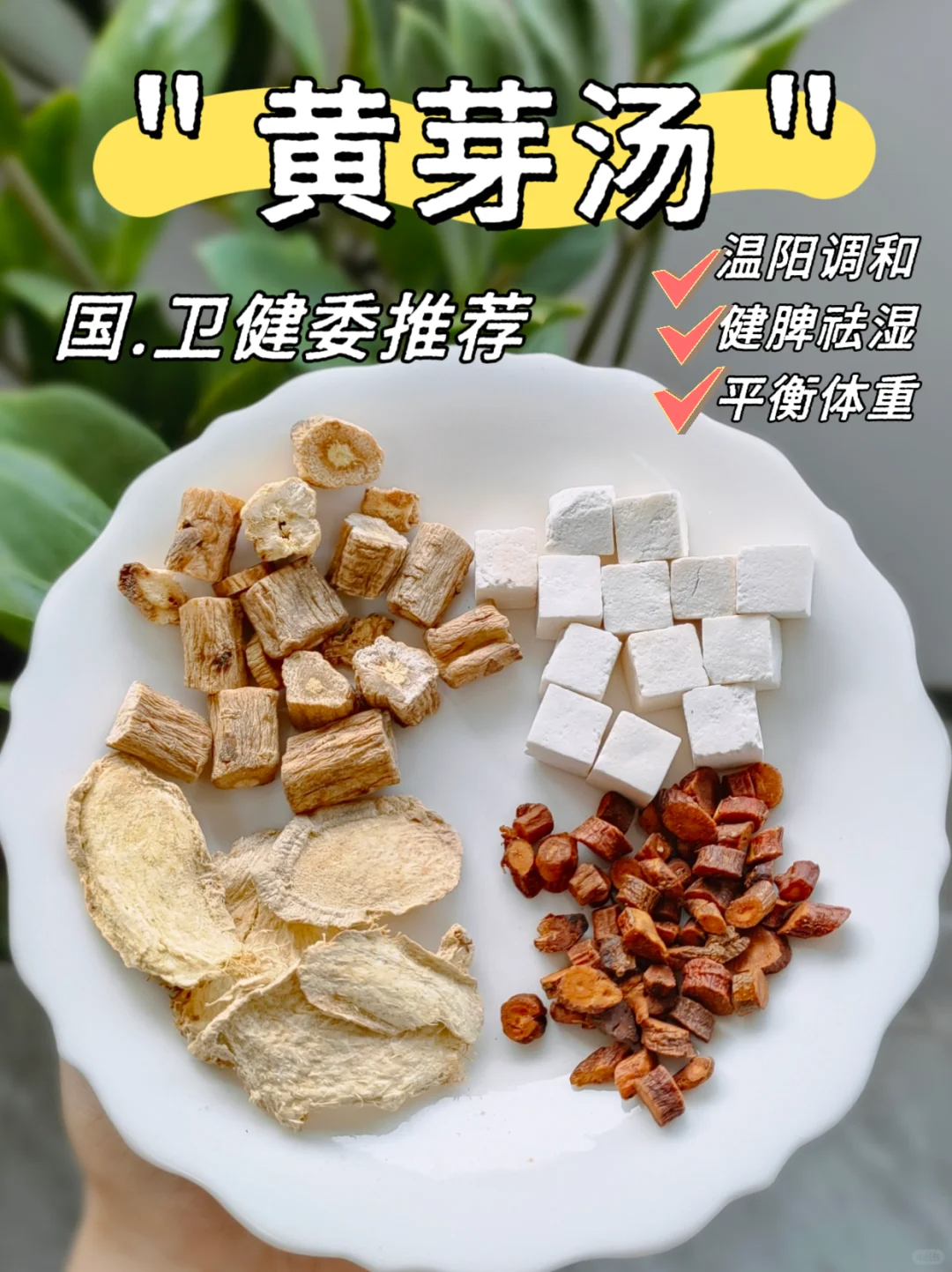 💢清乾隆御医黄元御名方😍黄芽汤