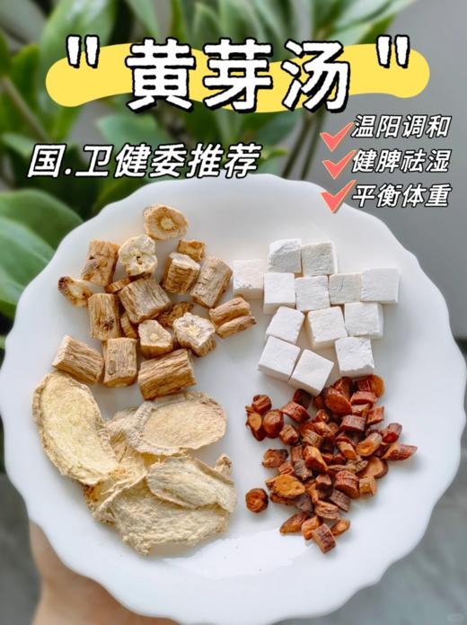 💢清乾隆御医黄元御名方😍黄芽汤 商品图0
