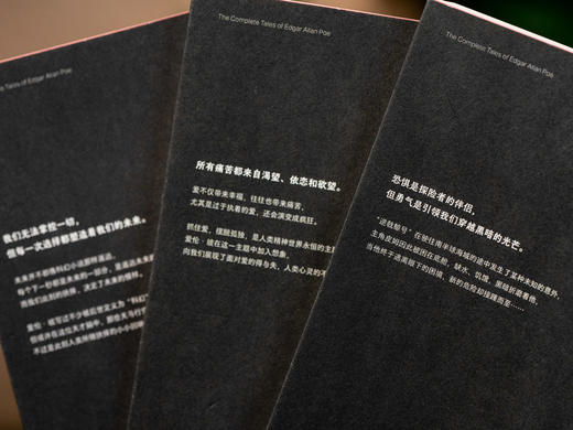 《爱伦·坡小说全集》（全7册）| 译林出版社权威出版，一次收齐推理小说之父、侦探小说鼻祖5大类型小说，好读、好带、好收藏！ 商品图6