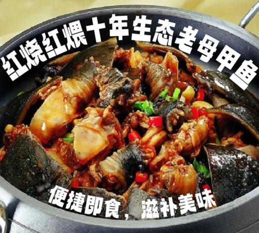 【自提】速冻甲鱼 商品图1