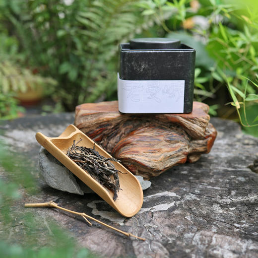 孔明茶︱2021年老曼峨 商品图2