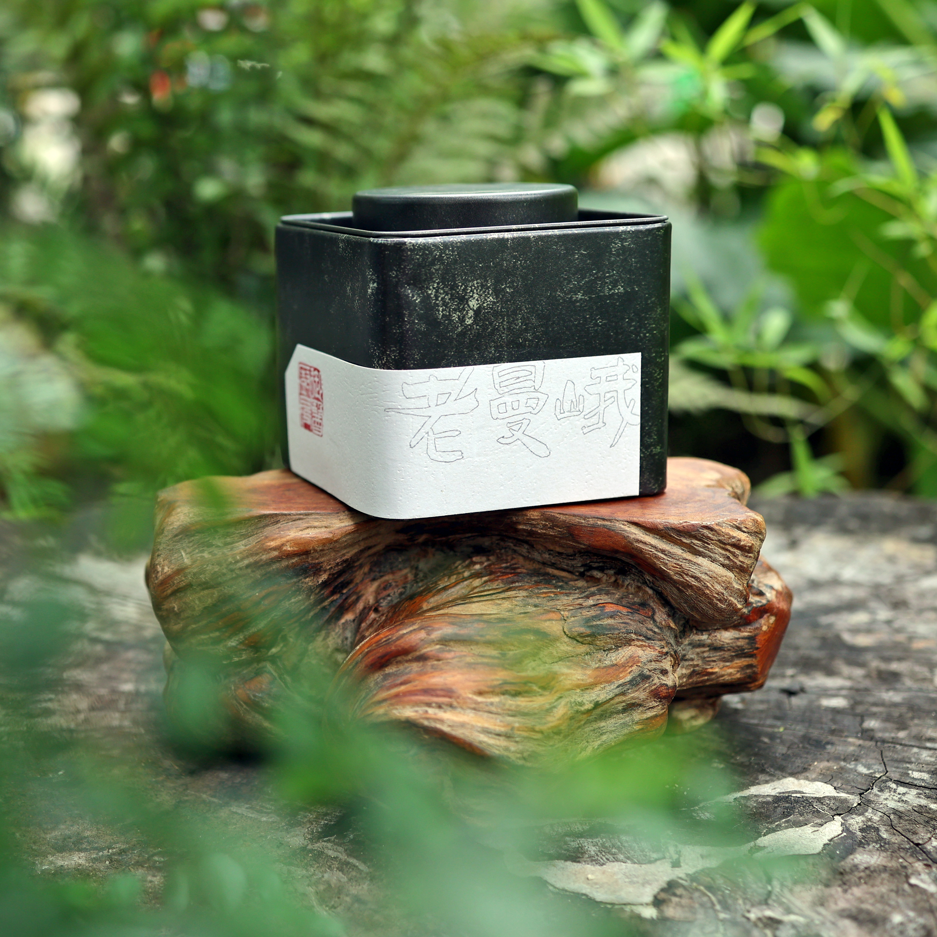 孔明茶︱2021年老曼峨