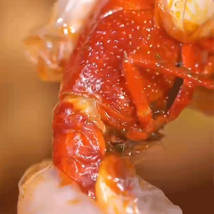 易剥壳【小龙虾固形物≥50% ，单个4-6钱】【龙虾尾固形物≥55%】袁小美·正宗洪泽湖小龙虾&虾尾（顺丰冷链）丨速食