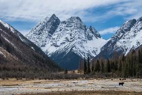 【夏令营】川西卧龙、四姑娘山秘境自然探索营-蜀山奇遇纪，自然保护，人文，地质，徒步|单飞\亲子