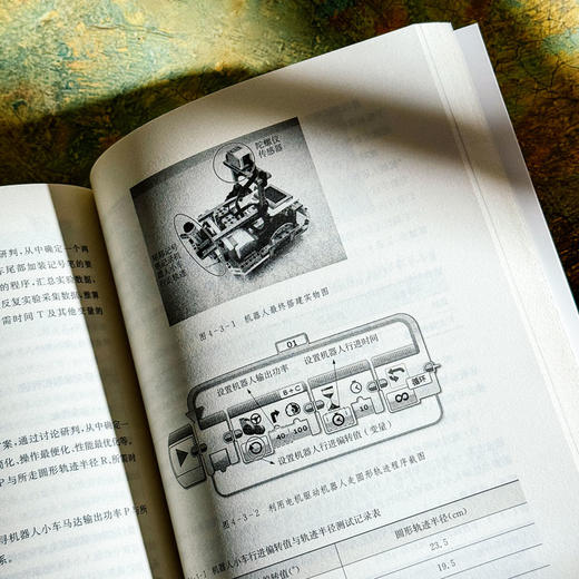 小课题探究 激活学习方式 课程治理现代化丛书 王琦 商品图13