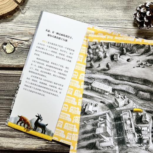 黄巴士 |《纽约时报》年度 ZUI 佳图书、《科克斯书评》年度 ZUI 佳图书 商品图8