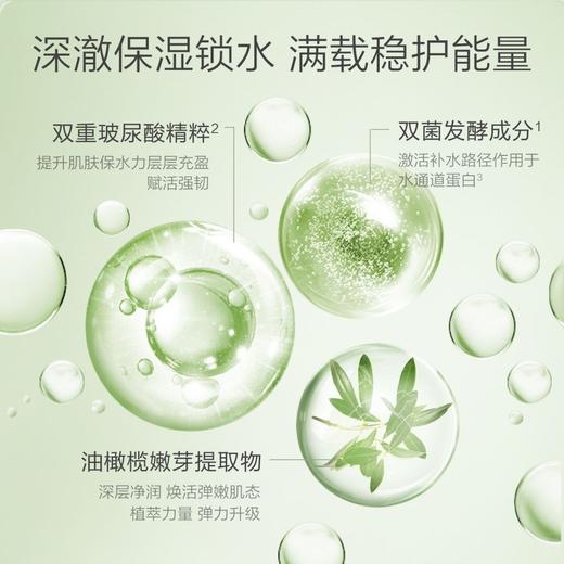 一叶子橄榄芽补水保湿乳液120ml(效期2029年1月)新老包装随机发54501 商品图8
