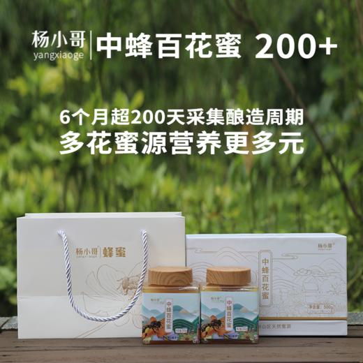 杨小哥中蜂百花蜜250g*2 商品图4