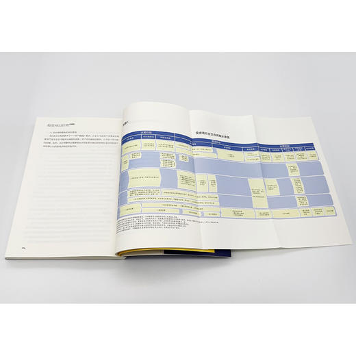 投资项目管理：中国指南 商品图2