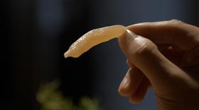 草木有趣 | 天冬，滋肾水以制阳光