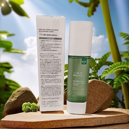 一叶子樱花瑰蜜粉润柔肤水100ml效期29年1月面部经典81651（无塑封膜外包装轻微破损） 商品图1