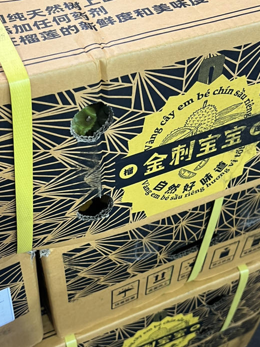 金刺宝宝预定 商品图0