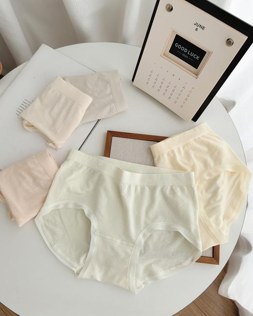 高品质女士50支莫代尔无缝裸氨内裤9748 商品图12