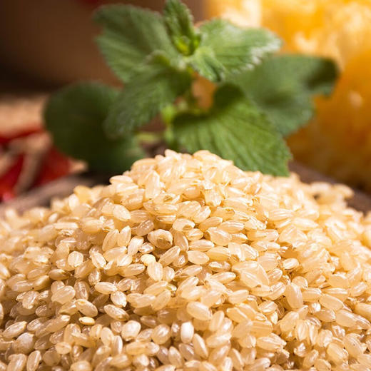 今粮道 糙米 450g【周日不发货】 糙米是稻谷脱壳后仍保留了皮层和胚的米粒， 与大米相比，不仅含有更多的蛋白质、脂肪、维生素、矿物质等营养成分 商品图4