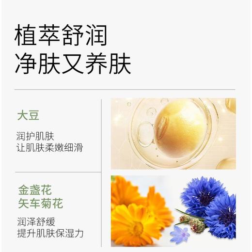 一叶子 大豆水嫩细肤洁面膏135g效期2030年1月细致毛孔55436 商品图5