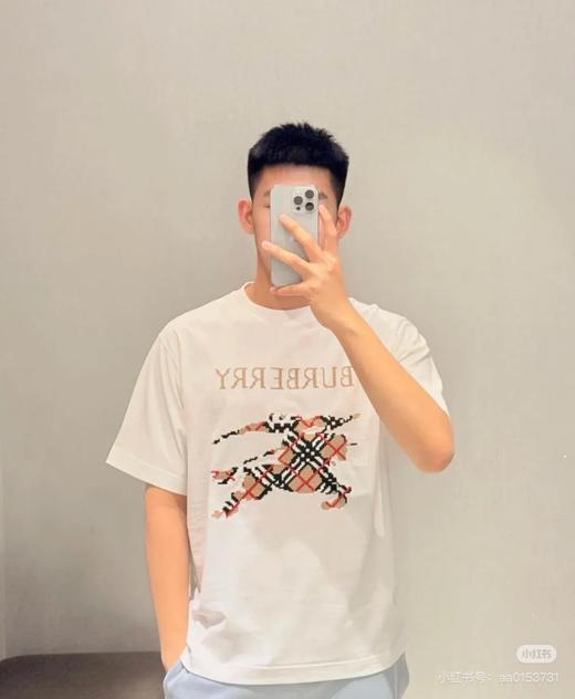 B家 十字刺绣大战马 圆领短袖T恤 Z-15420 商品图1