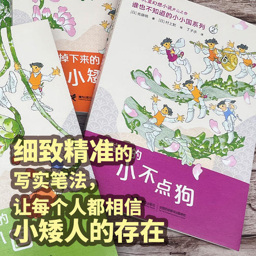谁也不知道的小小国系列（全新5册） 商品图4