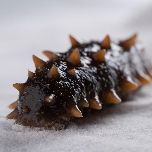 已下架【野生辽刺参】鹿岛万帝 即食海参 （8-10头55g*1只/ 14-16头 33g*1只） 人工深海采捕 商品图1