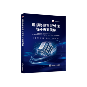 遥感影像智能处理与分析案例集