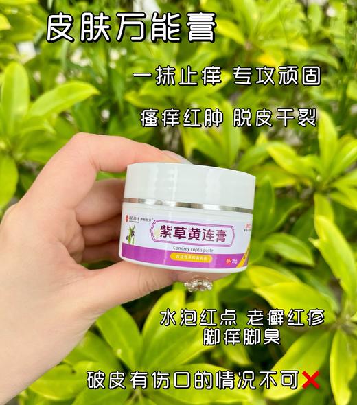 【紫草黄连皮肤膏】国药药材，质量有保障！消yan杀jun、止痒，改善红肿等各类皮肤问题！草本配方，不刺激，专攻顽固症状！ 商品图1
