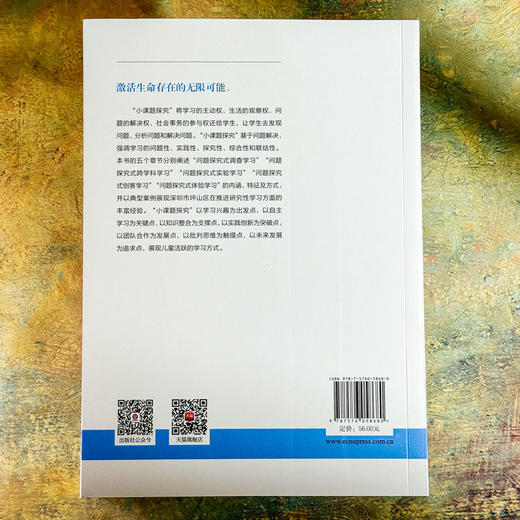 小课题探究 激活学习方式 课程治理现代化丛书 王琦 商品图2