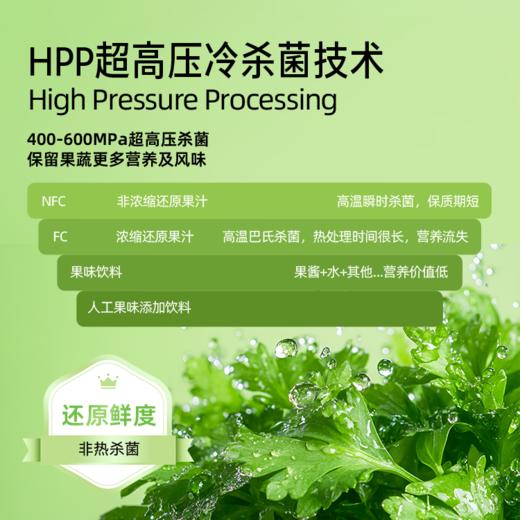 【供货】HPP好蔬源 西芹苦瓜复合果蔬汁 245ml*1瓶 果蔬轻食喝出轻畅 商品图4