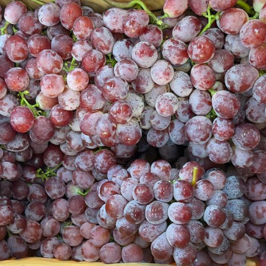 新鲜水果 云南有籽大红提  9.9元/斤  2斤装 （ 称重 多退少补） 商品图2