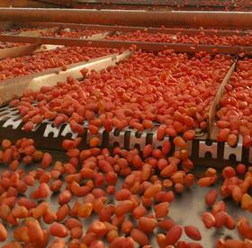 【有机花生米】“薄皮红衣”润脸庞