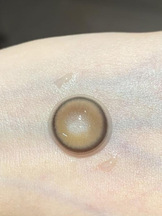 doragina旗下 蜂蜜甜茶｜14.5mm白狮参考中大直径｜韩产半年抛2片 商品图1