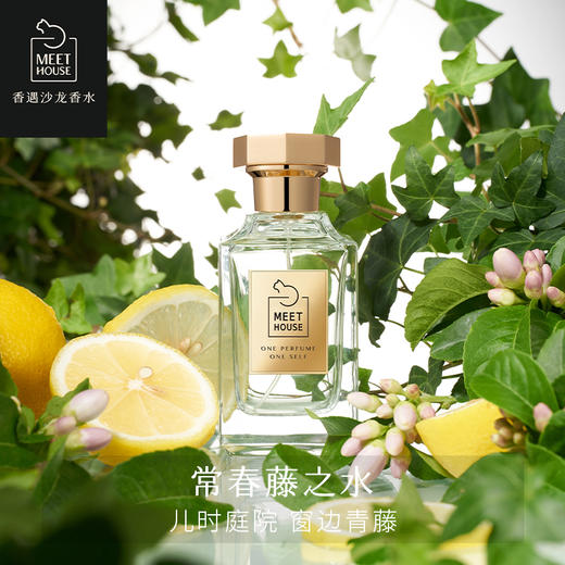 常春藤之水 商品图0