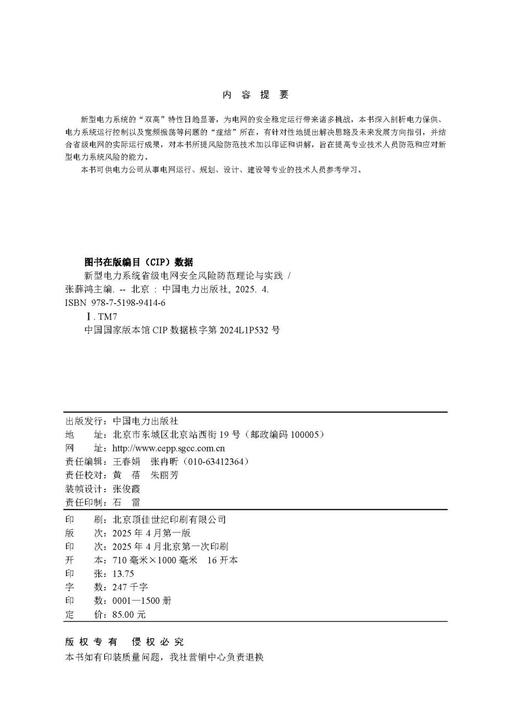 新型电力系统省级电网安全风险防范理论与实践 商品图3
