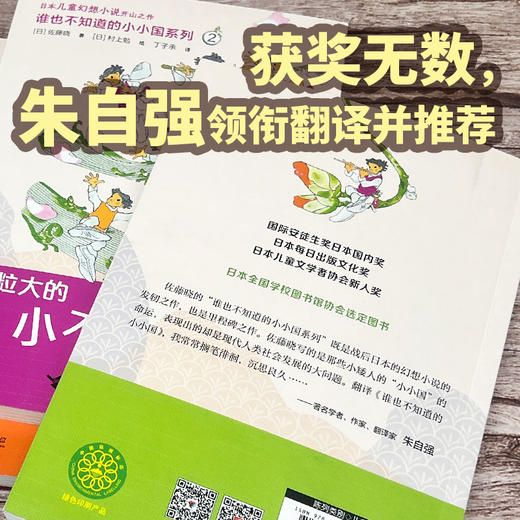 谁也不知道的小小国系列（全新5册） 商品图3