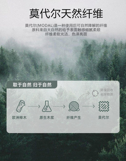 官网399！三条装50S莫代尔舒适无痕高弹男士内裤 蚕丝网眼裆透气干爽四角裤 商品图4