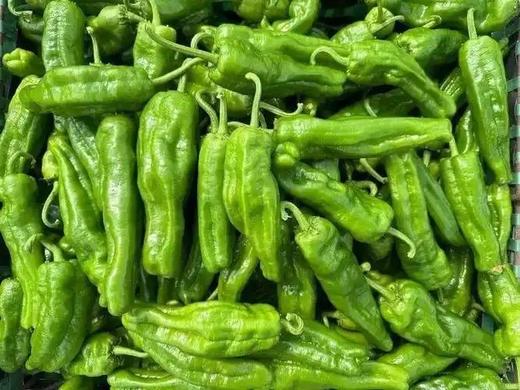 早丰4.8元1斤，明天到 商品图0