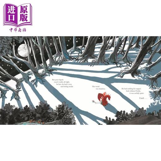 【中商原版】龙之火花之家 Sarah Massini A Home for Spark the Dragon 英文原版 儿童绘本 亲子图画故事书 进口童书 精装 商品图4