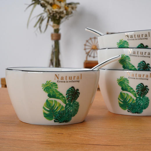 路易菲斯餐具绿叶成荫16件套 商品图3