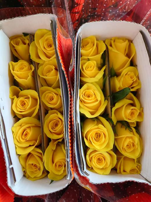 单头玫瑰花契机10支 商品图2