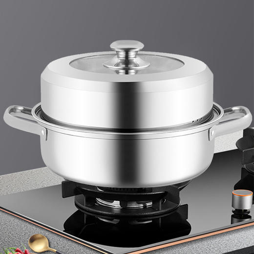 路易菲斯摩尔斯蒸煮多用锅MES-2011 商品图0