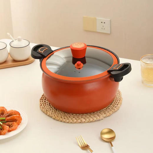 路易菲斯微压锅大容量7L家用微压力锅不粘煲汤炖锅 商品图0