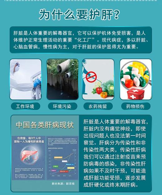 6月9日丹参绞股蓝茶 商品图6