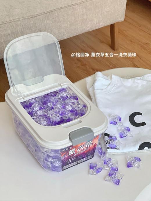 🔥【品牌直发】只要49.9💰到手超大盒足足【足足300粒】格丽净-薰衣草五合一洗衣凝珠 💰同款价：99.9¥/盒 💰团购价：立省50¥💖，到手仅需49.9¥ 商品图4
