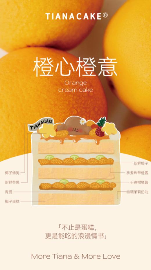 四寸橙心橙意 商品图4