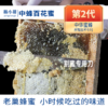 杨小哥中蜂百花蜜250g*2 商品缩略图2